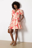 SS V Neck Mini Dress
