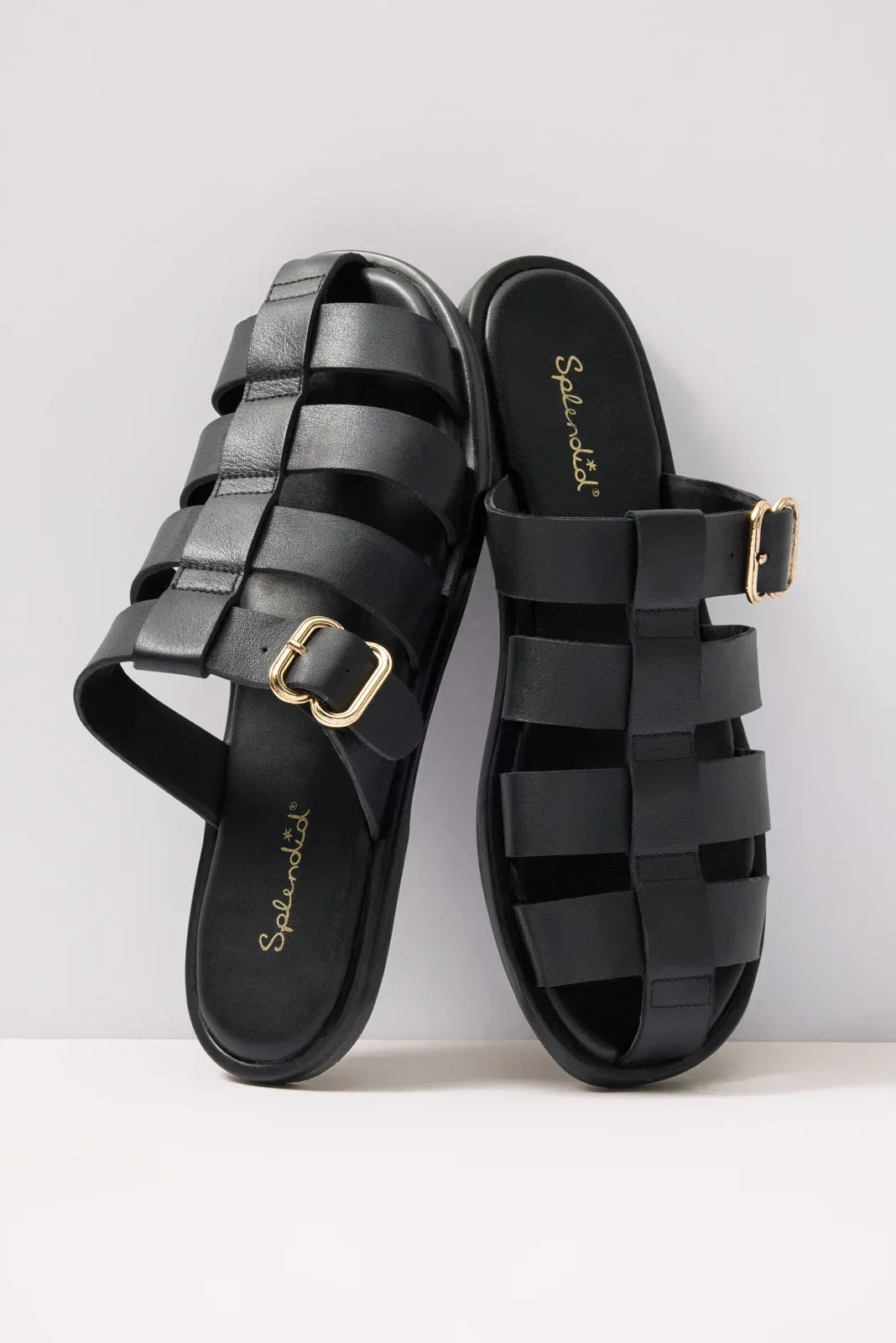 Fatima FIsherman Slide